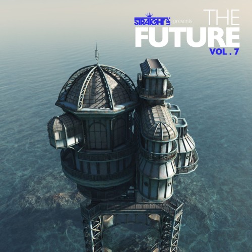Various Artists - Straight Up! Presents The Future Vol 7