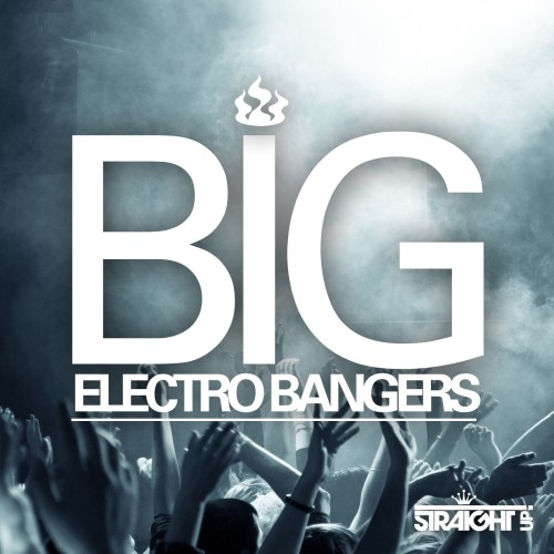Various Artists - Big Electro Bangers