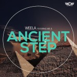 Weela feat Mr B - Ancient Step
