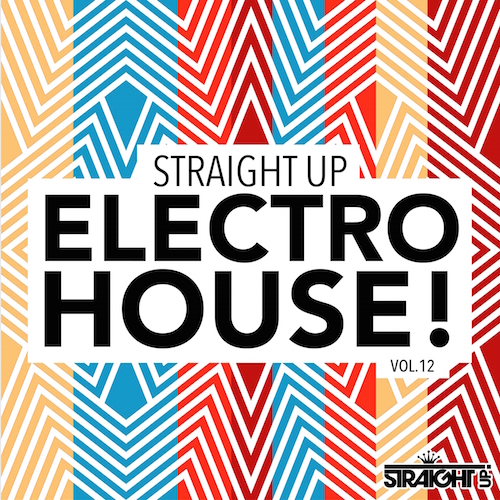 Straight Up Electro House! Vol. 12