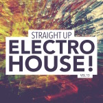 Straight Up Electro House! Vol. 13